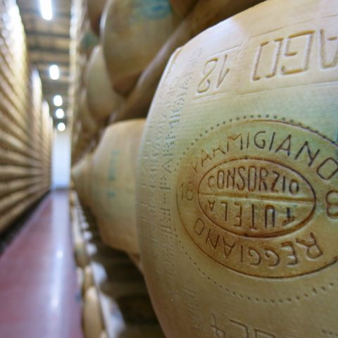 Parmesan cheese aging