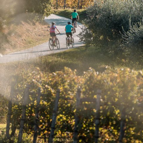 Bike tour in Lake Garda area