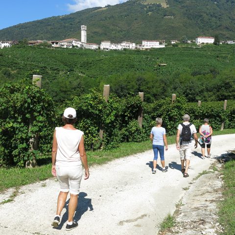 Wine walk in the hills of Prosecco wine