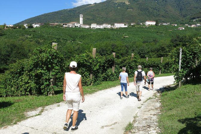 Wine walk in the hills of Prosecco wine