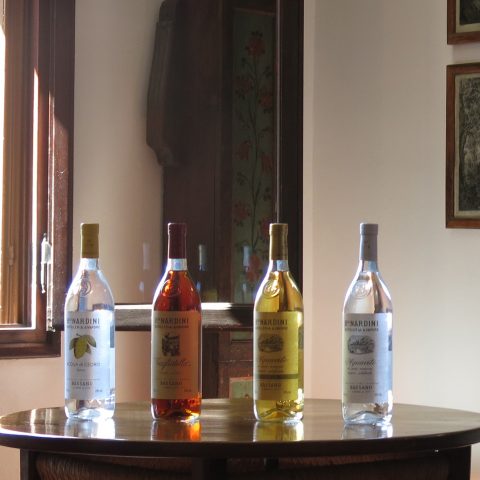 Grappa tasting